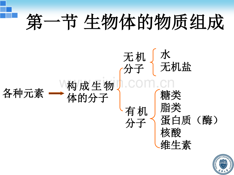 01-生物体及生物化学.pdf_第3页