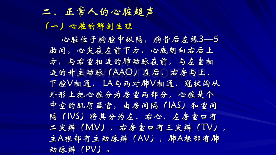 心脏解剖概要.pptx_第2页