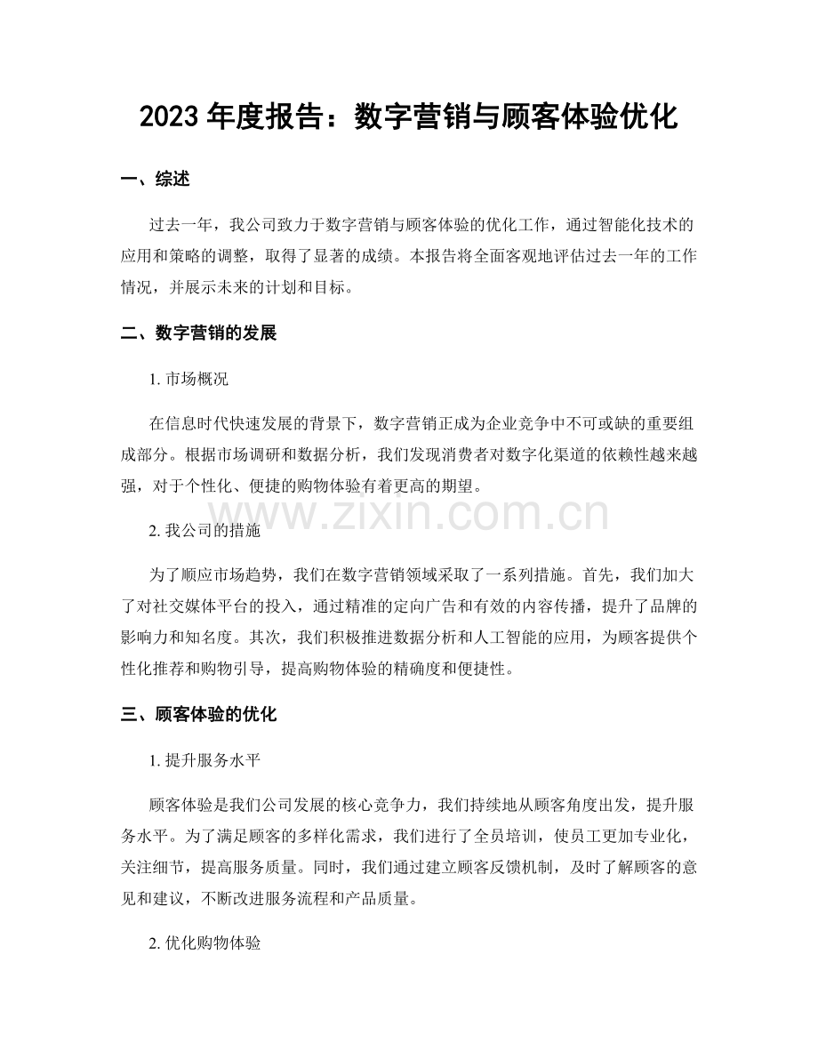 2023年度报告：数字营销与顾客体验优化.docx_第1页