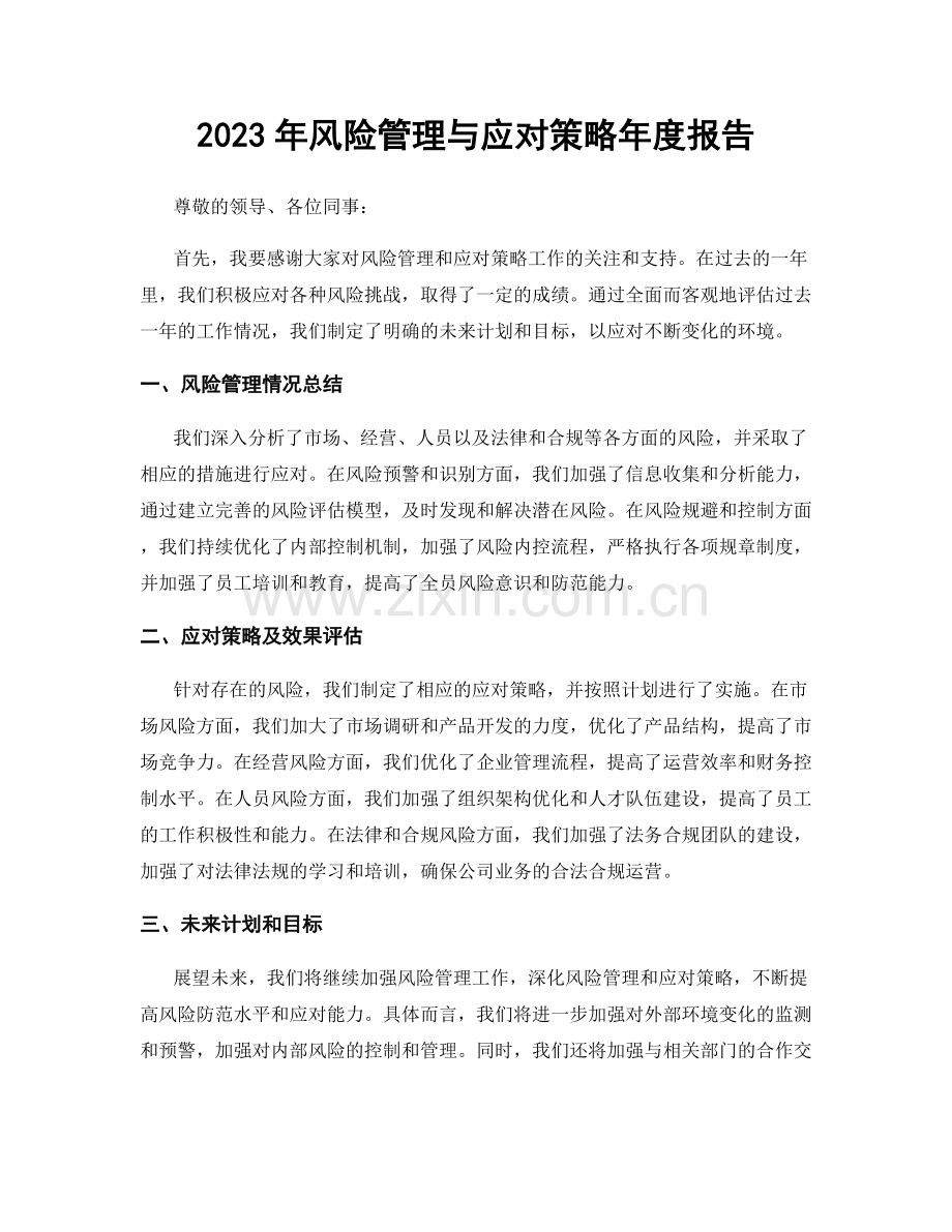 2023年风险管理与应对策略年度报告.docx_第1页