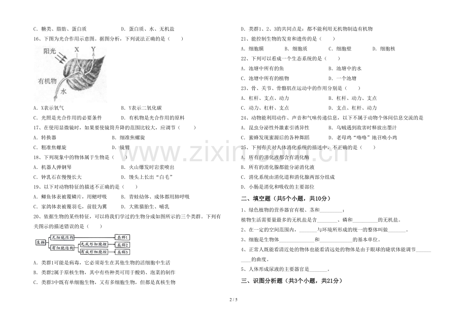 七年级生物上册期末测试卷.doc_第2页