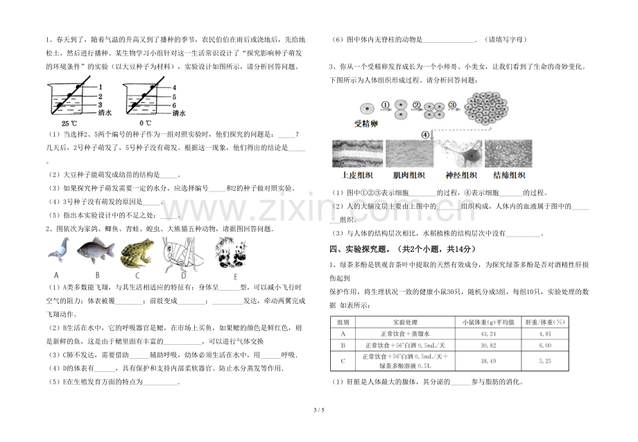 七年级生物上册期末测试卷.doc_第3页