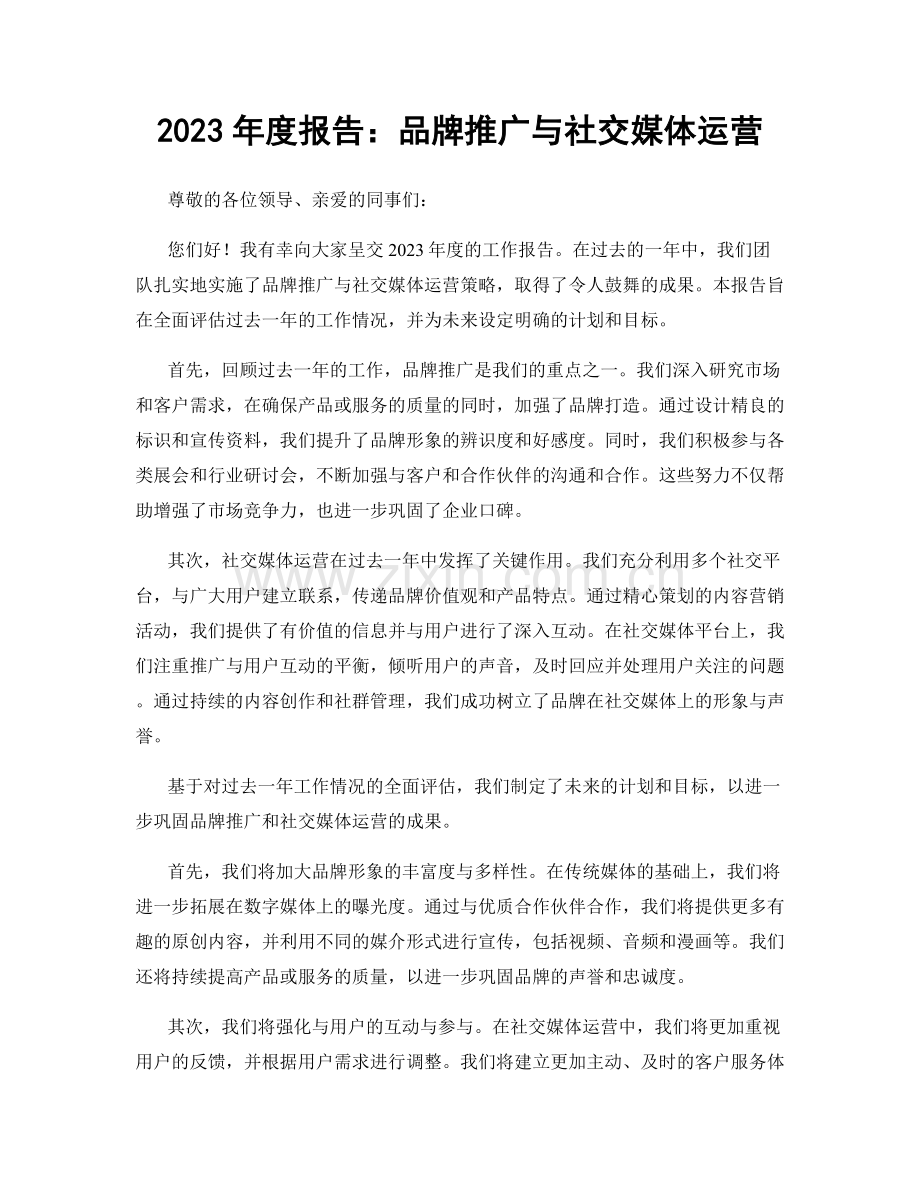 2023年度报告：品牌推广与社交媒体运营.docx_第1页