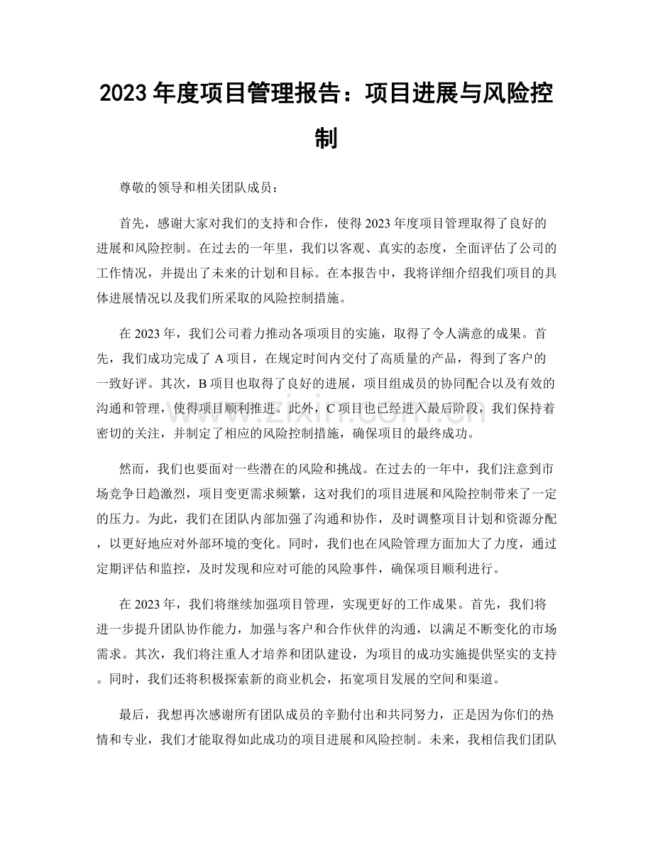 2023年度项目管理报告：项目进展与风险控制.docx_第1页