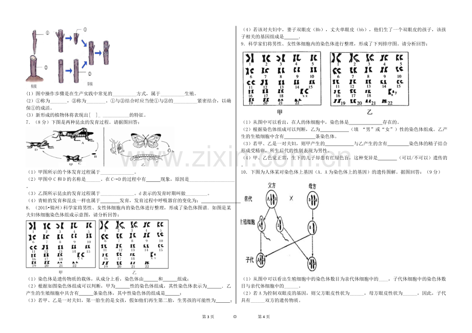 八年级生物下册识图题.doc_第2页