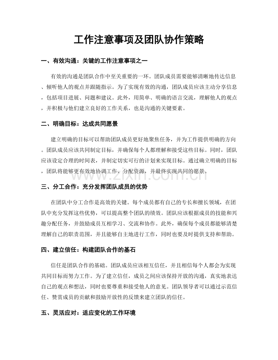 工作注意事项及团队协作策略.docx_第1页