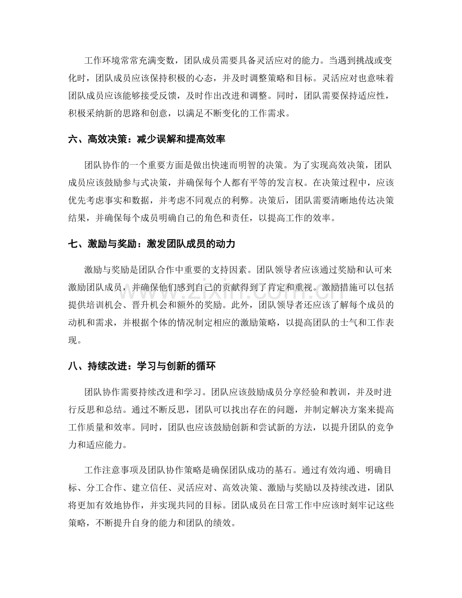 工作注意事项及团队协作策略.docx_第2页