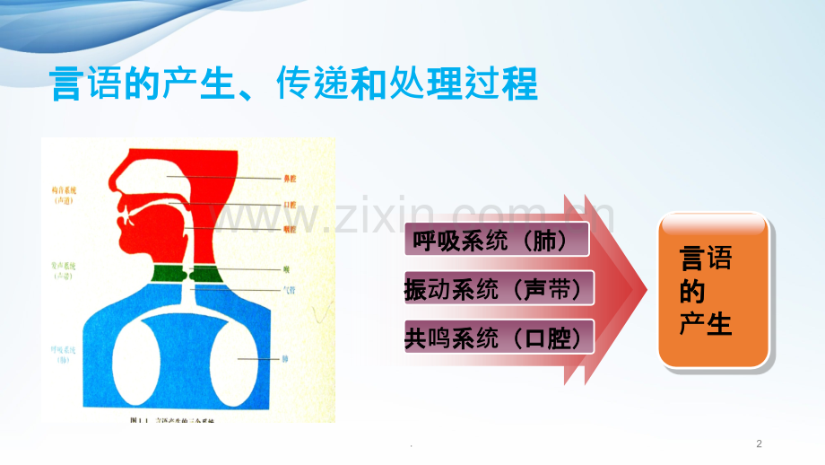 康复治疗技术言语治疗PPT课件.ppt_第2页