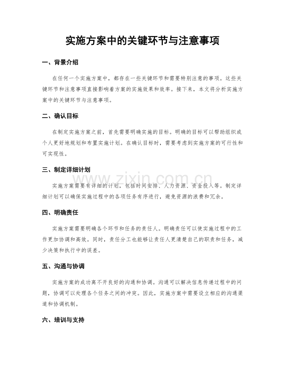 实施方案中的关键环节与注意事项.docx_第1页