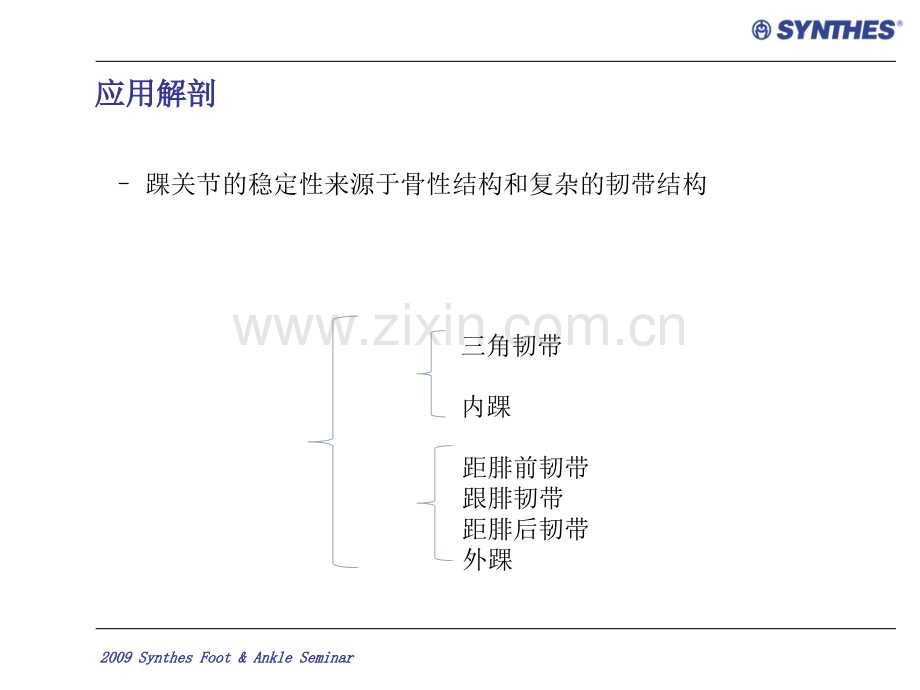 踝关节骨折分类课件PPT课件.ppt_第2页