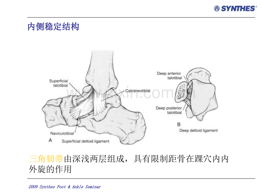 踝关节骨折分类课件PPT课件.ppt_第3页