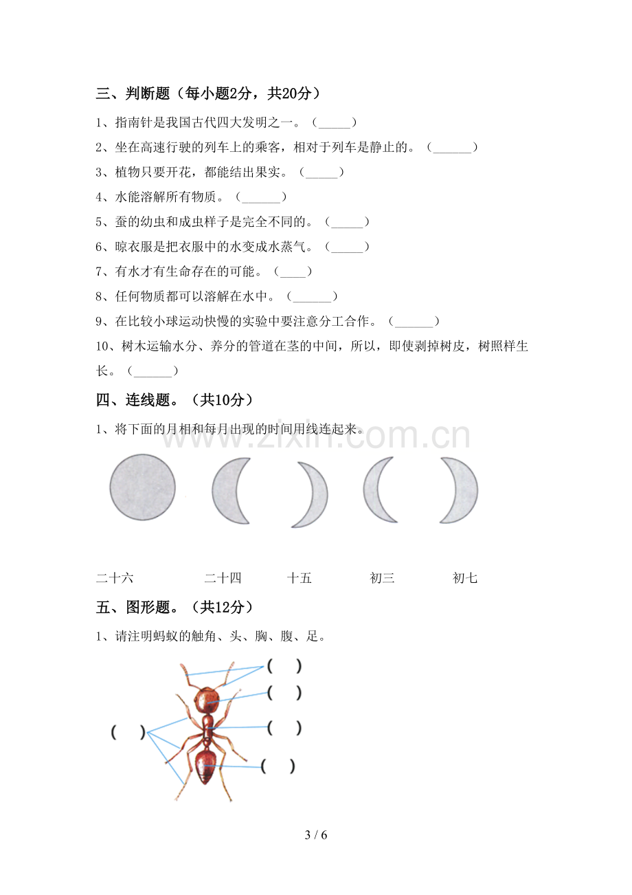 人教版三年级科学上册期末试卷【及参考答案】.doc_第3页