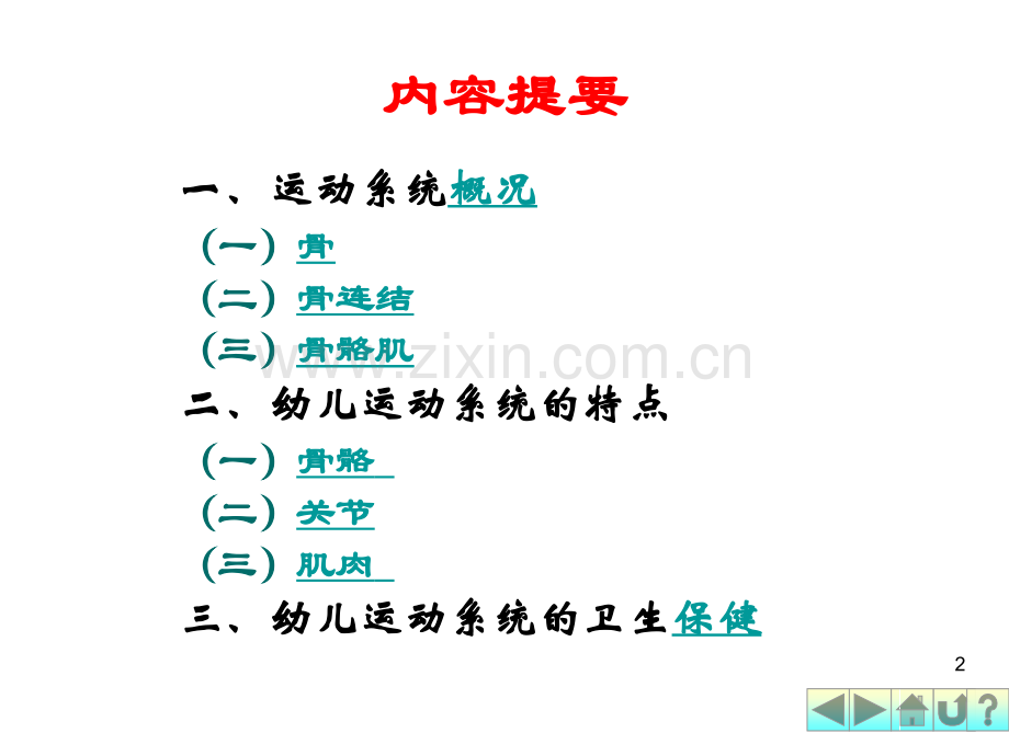 幼儿教育运动系统PPT.ppt_第2页