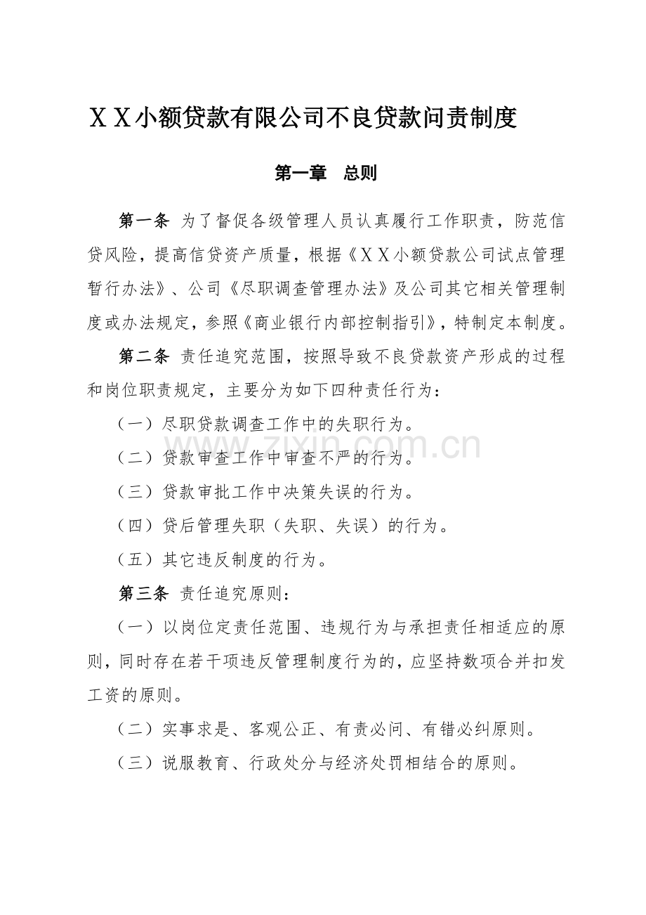 小额贷款有限公司不良贷款问责制度.doc_第1页