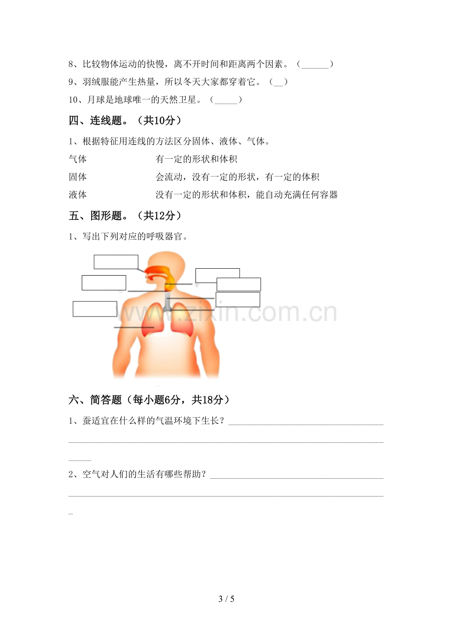 小学三年级科学上册期末测试卷及完整答案.doc_第3页