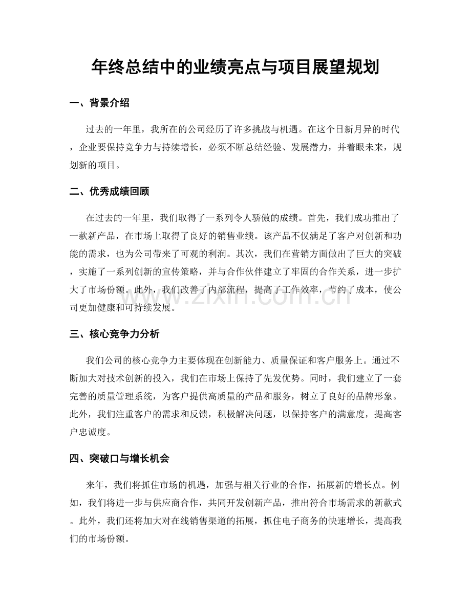 年终总结中的业绩亮点与项目展望规划.docx_第1页