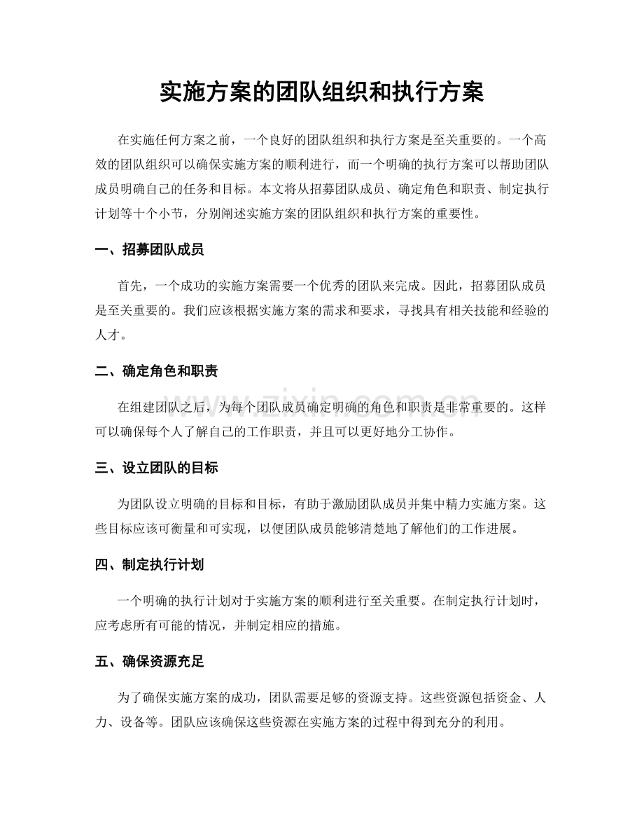 实施方案的团队组织和执行方案.docx_第1页