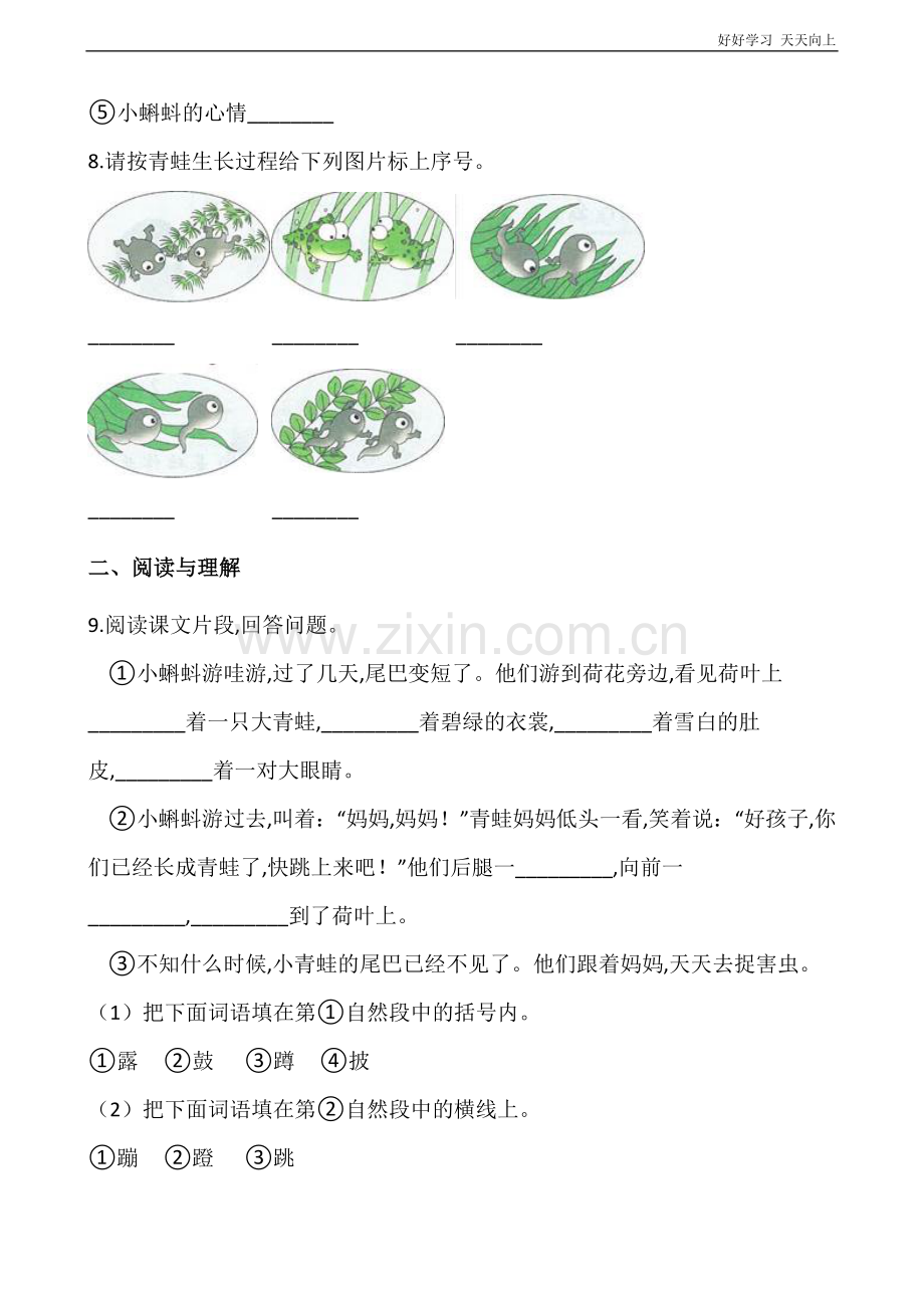 二年级上册语文部编版课时练《小蝌蚪找妈妈》(试卷+答案版).docx_第3页