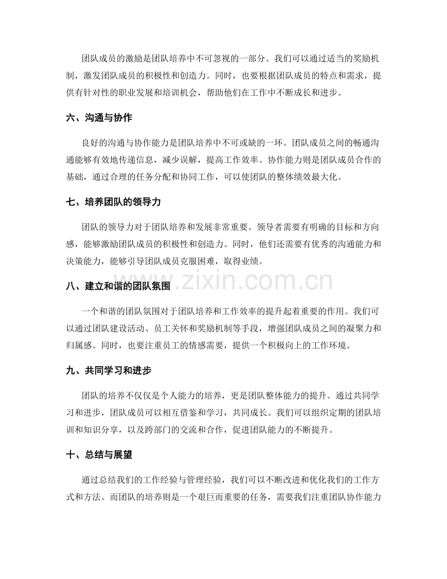 工作总结的管理经验与团队培养.docx_第2页