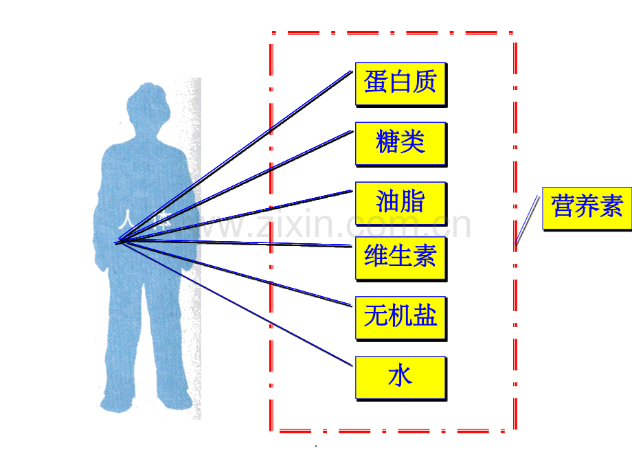 人教版化学九年《人类重要的营养物质》1整理-2.ppt_第3页