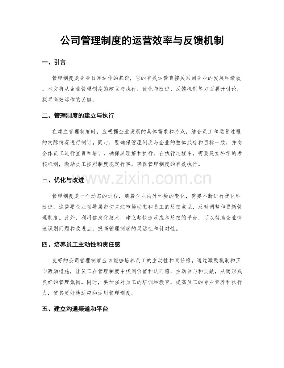 公司管理制度的运营效率与反馈机制.docx_第1页