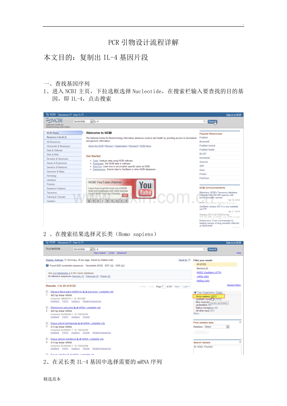 PCR引物流程设计详解.doc_第1页