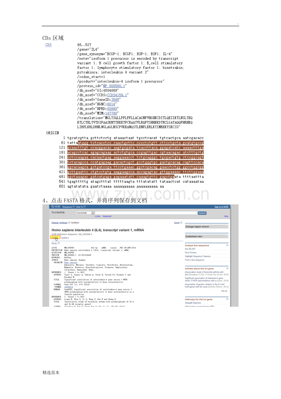 PCR引物流程设计详解.doc_第3页