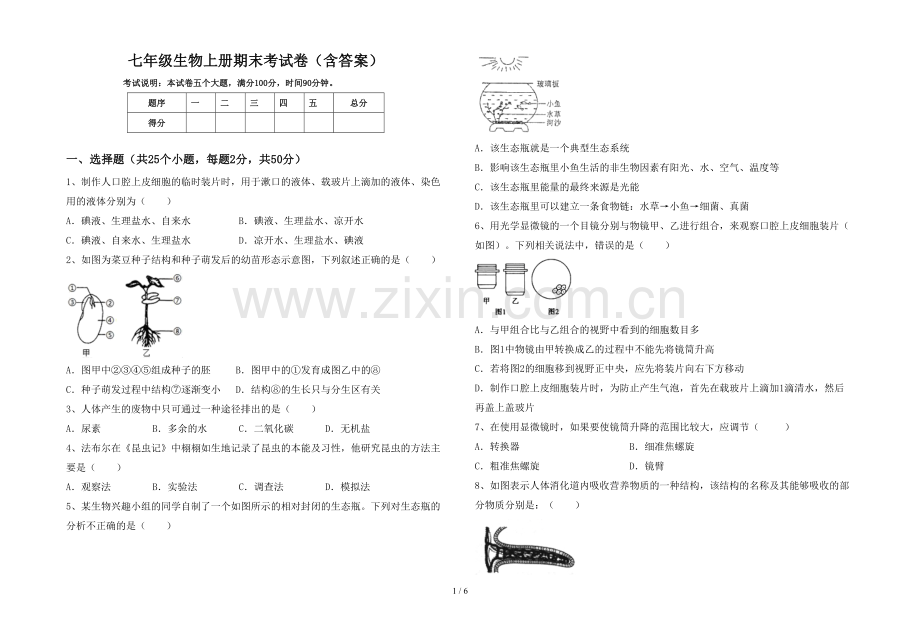 七年级生物上册期末考试卷(含答案).doc_第1页