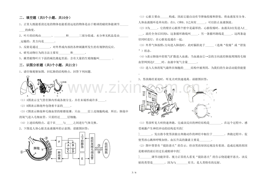 七年级生物上册期末考试卷(含答案).doc_第3页