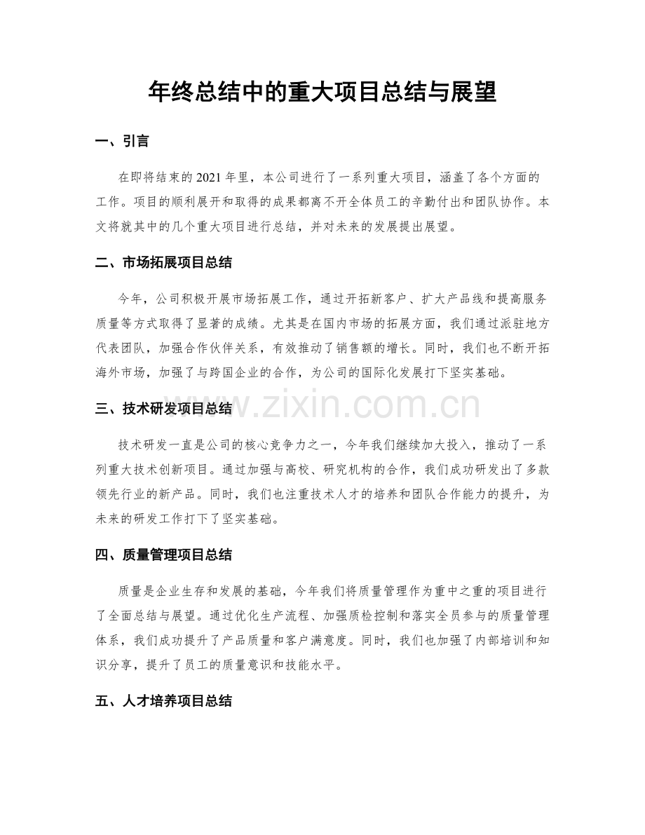 年终总结中的重大项目总结与展望.docx_第1页