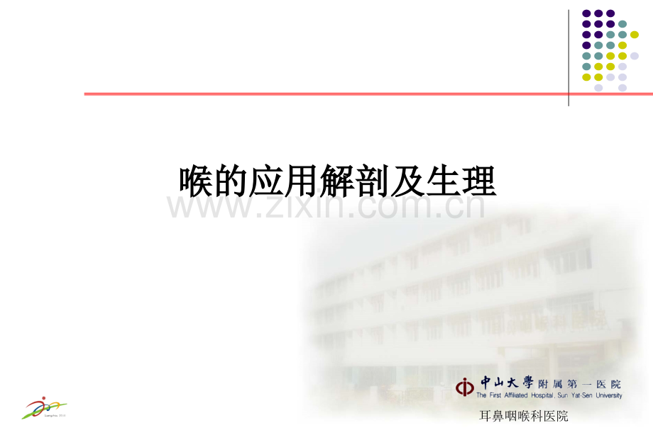 喉的解剖及生理功能.ppt_第1页