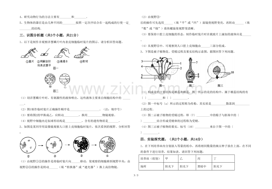 七年级生物上册期末考试【含答案】.doc_第3页