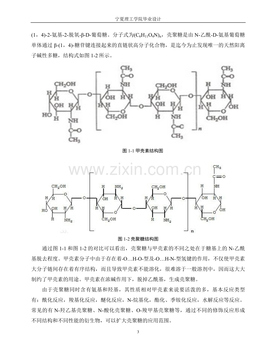 年产300万吨壳聚糖的设计毕业设计论文.doc_第3页