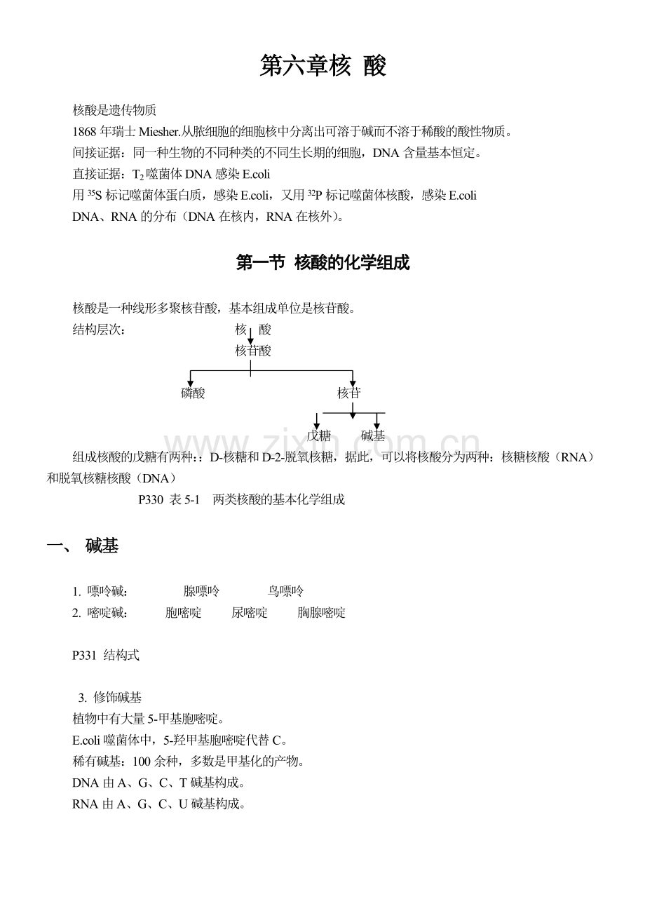 生物化学核酸章节考点总结.doc_第1页