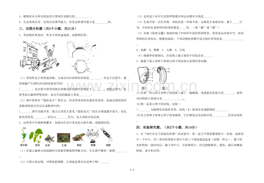 新人教版七年级上册《生物》期末考试卷.doc_第3页