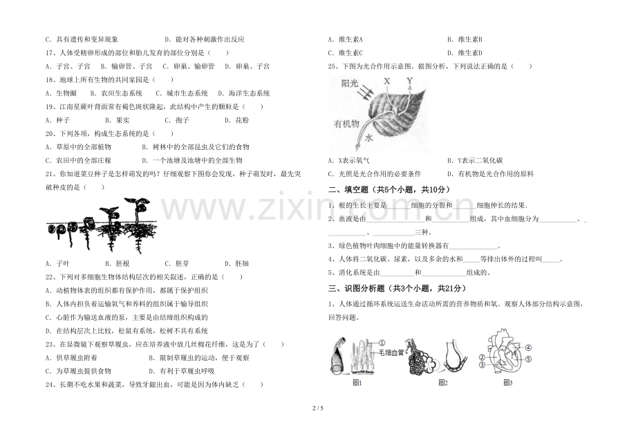 苏教版七年级生物(上册)期末试题及答案.doc_第2页