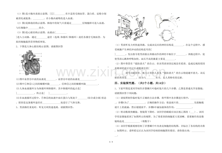 苏教版七年级生物(上册)期末试题及答案.doc_第3页