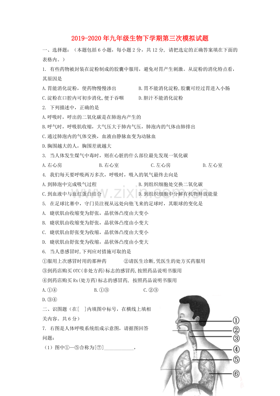 2019-2020年九年级生物下学期第三次模拟试题.doc_第1页