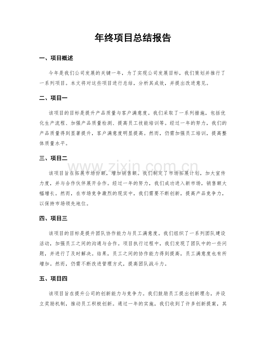 年终项目总结报告.docx_第1页