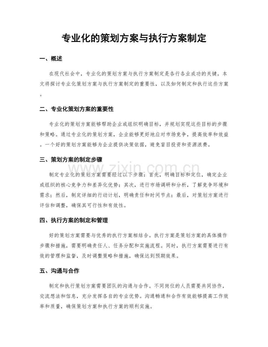 专业化的策划方案与执行方案制定.docx_第1页