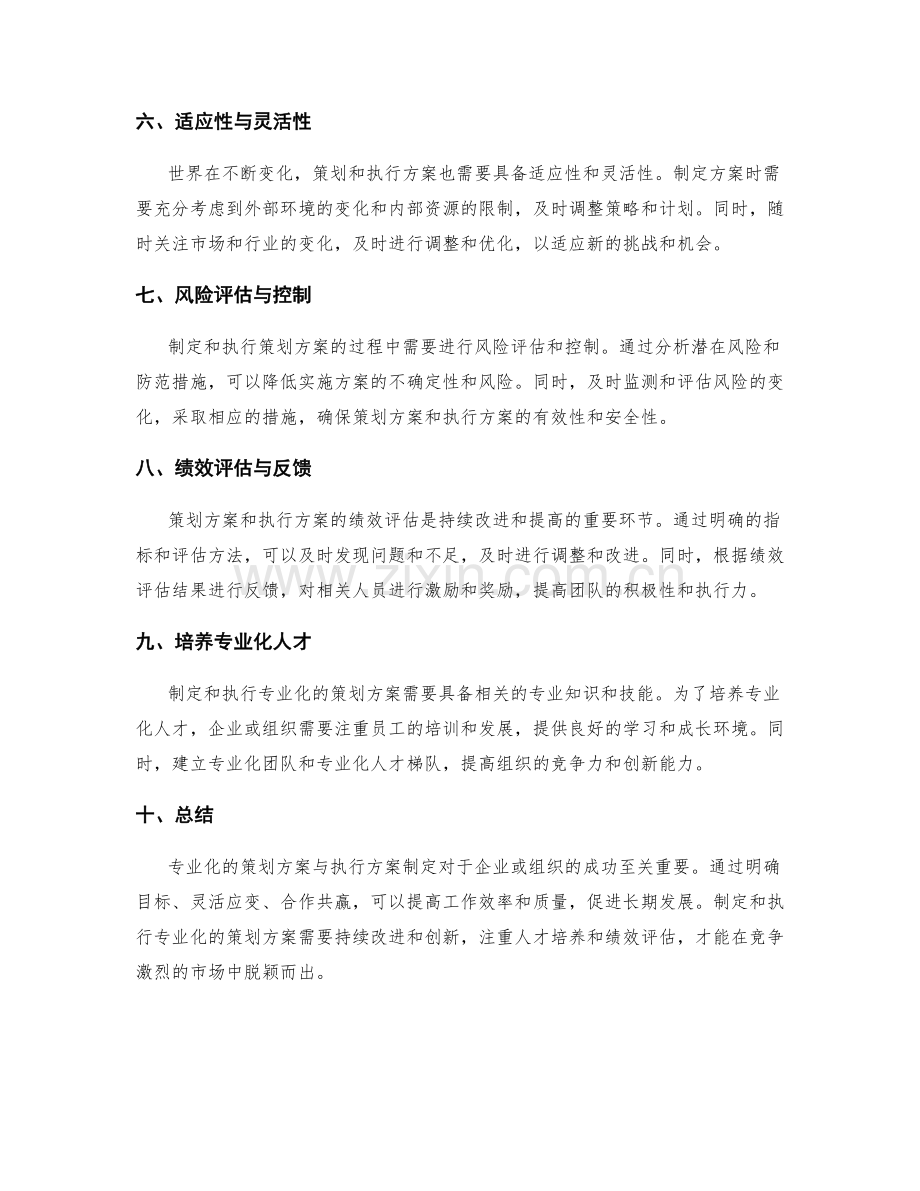 专业化的策划方案与执行方案制定.docx_第2页