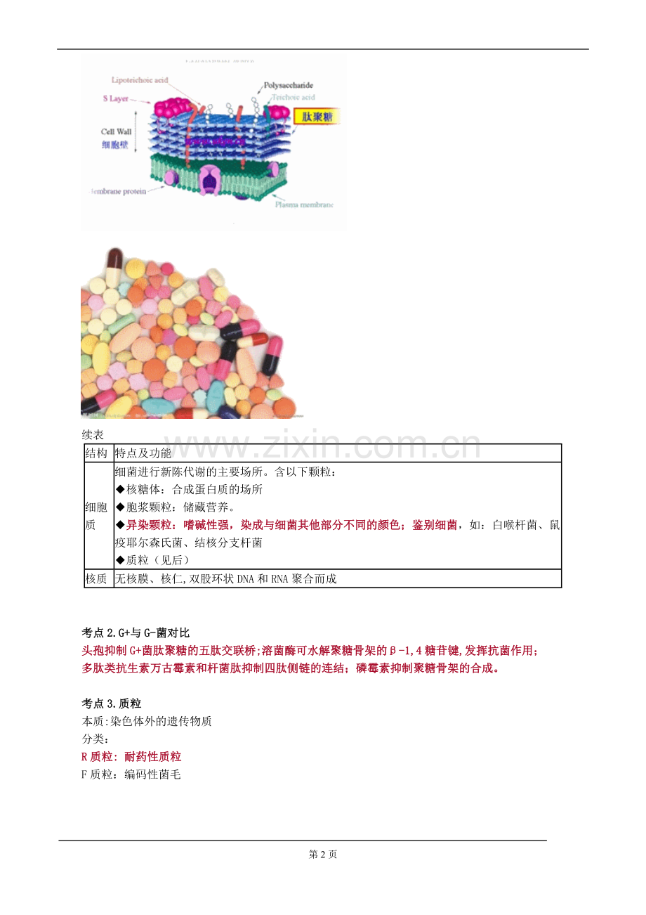 2017年执业医师考试重点-医学微生物学.doc_第2页