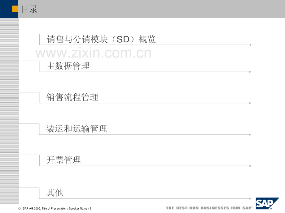 SAP销售分销解决方案.pdf_第2页