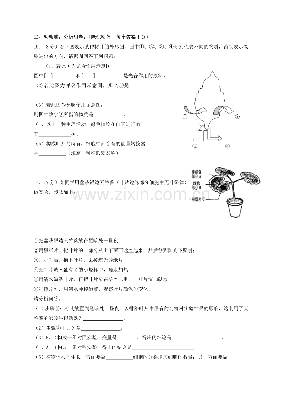 2019-2020年九年级生物上学期第二次段考试题.doc_第3页