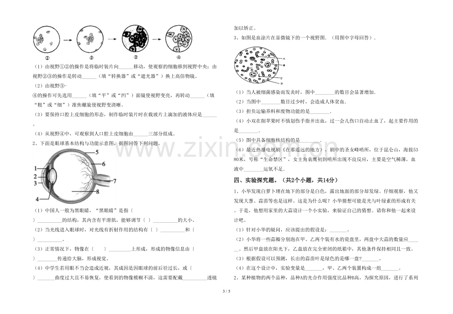 苏教版七年级生物(上册)期末试题(附参考答案).doc_第3页