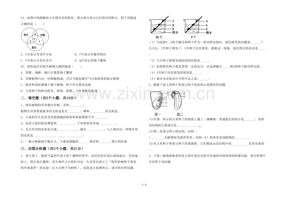 人教版七年级上册《生物》期末试卷(参考答案).doc_第3页