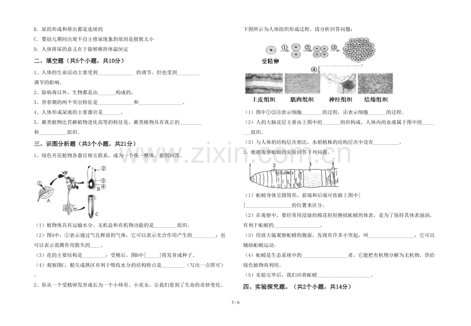 人教版七年级上册《生物》期末测试卷(附答案).doc_第3页