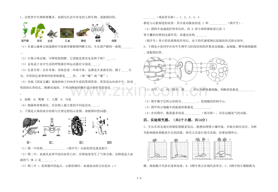 七年级生物上册期末试卷及答案.doc_第3页