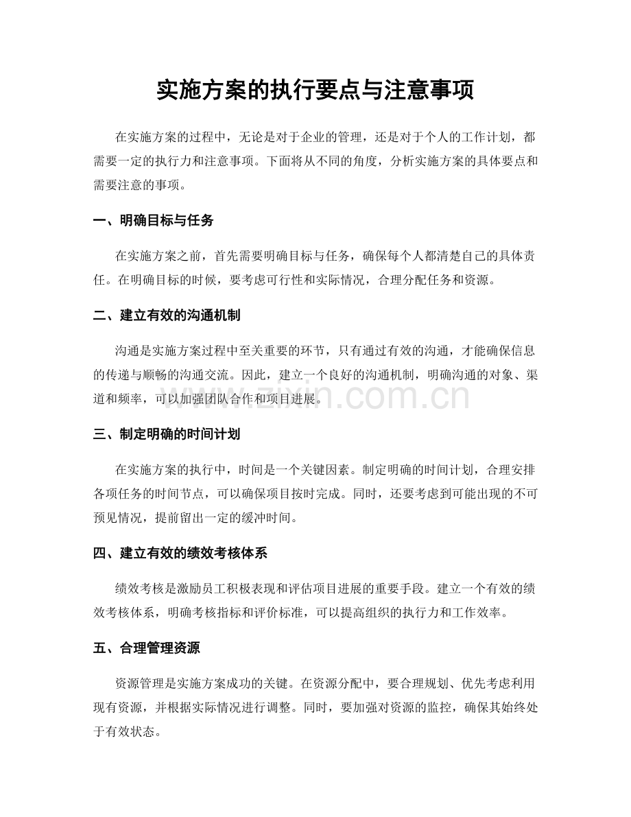 实施方案的执行要点与注意事项.docx_第1页