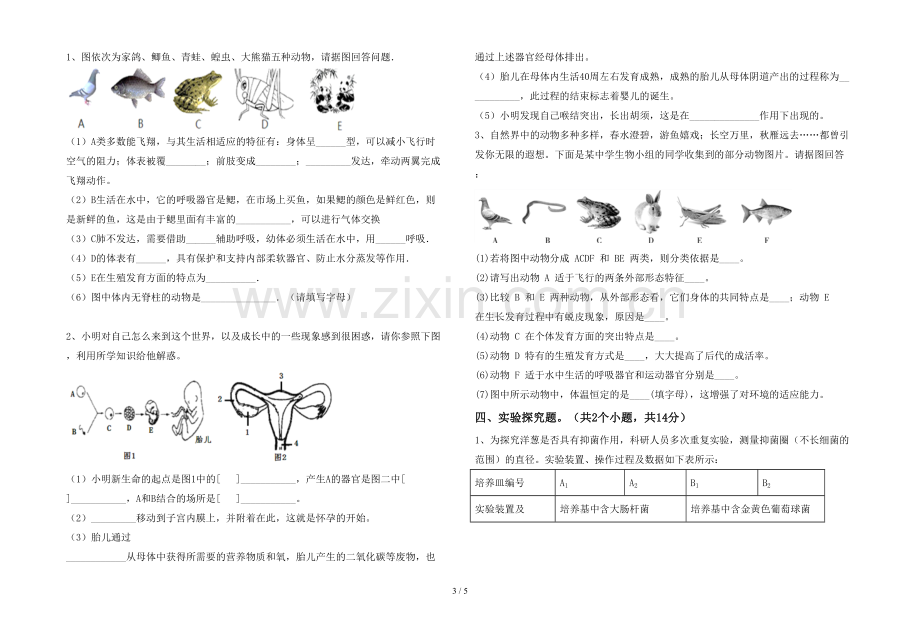 新人教版七年级上册《生物》期末考试题及答案【可打印】.doc_第3页